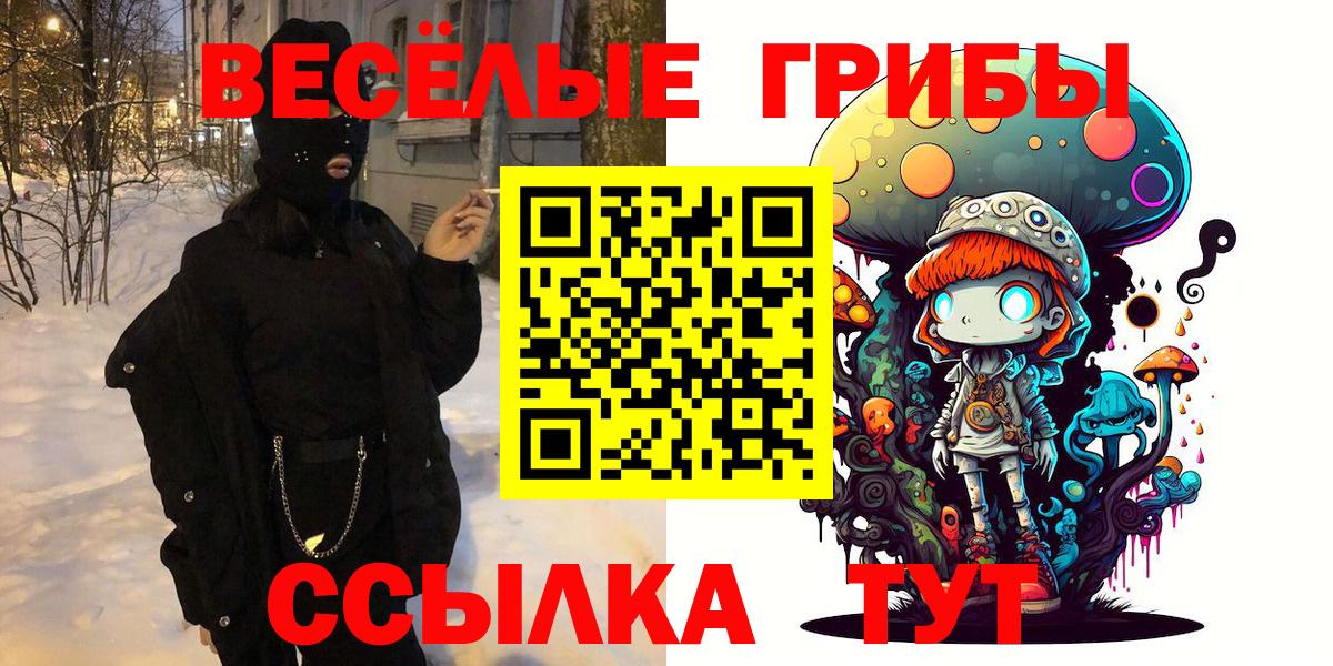 Псилоцибиновые грибы Psilocybine cubensis Губкинский