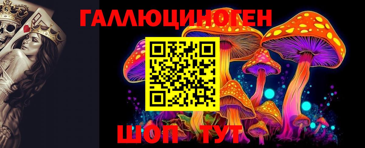 Псилоцибиновые грибы прущие грибы  цены   Губкинский  Галлюциногенные грибы Psilocybe  Вход с VPN 